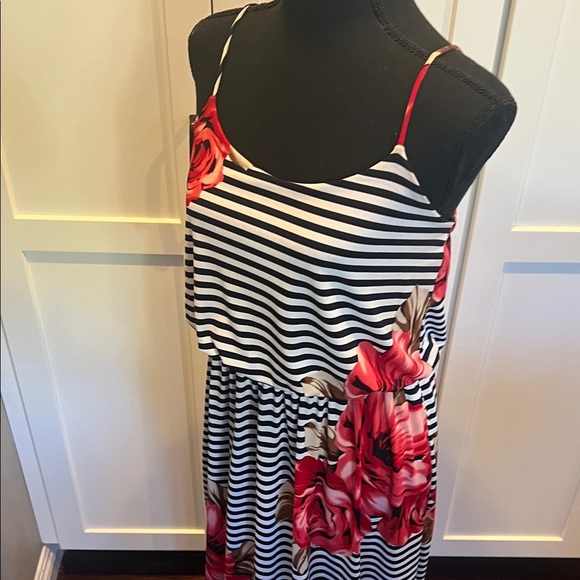 Enfocus Studio Black and White Striped Maxi Dress with Red Floral Accents - Picture 8 of 8
